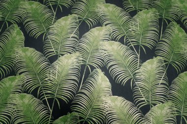 Siyah arkaplanda çok sayıda Palmiye yaprağı 