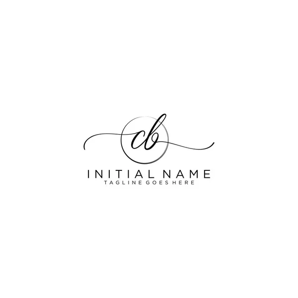 Beauty Vector Initial Logo Handschrift Logo Der Ursprünglichen Signatur — Stockvektor