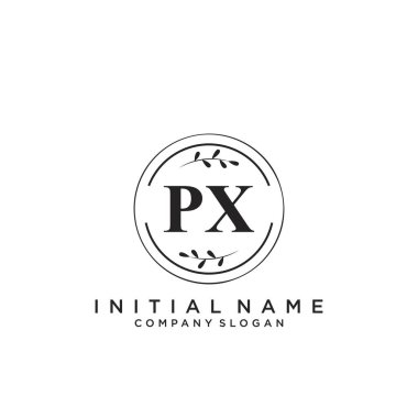 Harf Px Güzellik Logosu Şablon Vektörü
