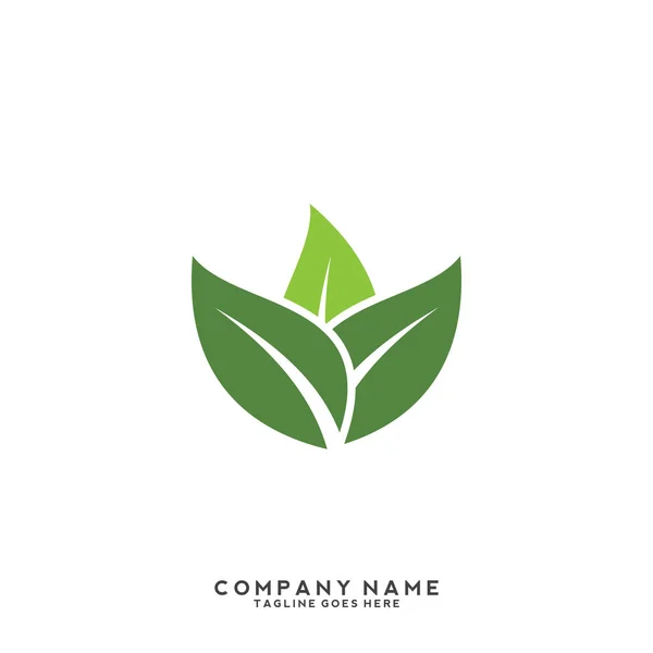 Modello Logo Foglia Verde Creativo — Vettoriale Stock