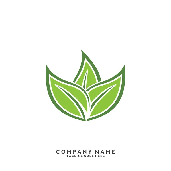 創造的な緑の葉のロゴテンプレート — ストックベクタ