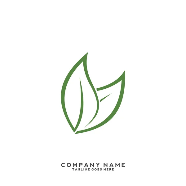 Δημιουργικό Πρότυπο Λογότυπου Πράσινου Φύλλου — Διανυσματικό Αρχείο