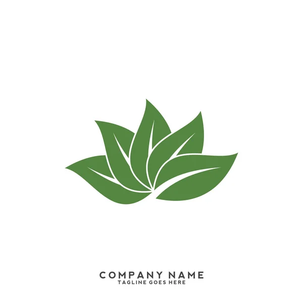 Modello Logo Foglia Verde Creativo — Vettoriale Stock