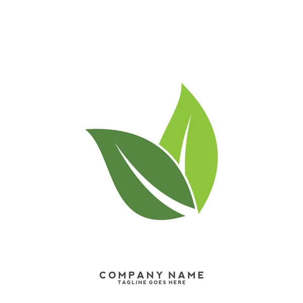 Plantilla Logotipo Hoja Verde Creativa — Vector de stock