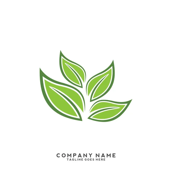 Kreatywny Zielony Wzór Logo Liści — Wektor stockowy