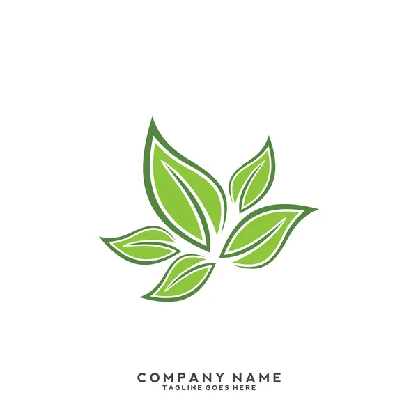 Kreatywny Zielony Wzór Logo Liści — Wektor stockowy