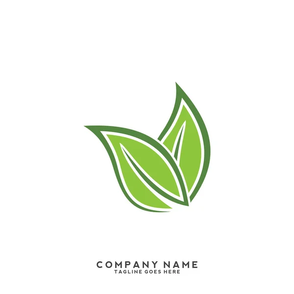 Modello Logo Foglia Verde Creativo — Vettoriale Stock