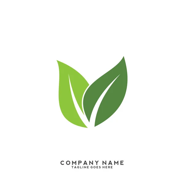 Modello Logo Foglia Verde Creativo — Vettoriale Stock