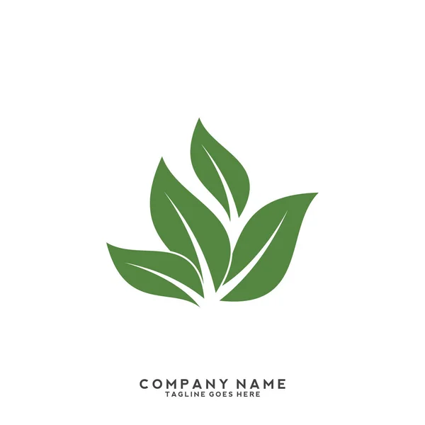 Creatief Groen Blad Logo Template — Stockvector