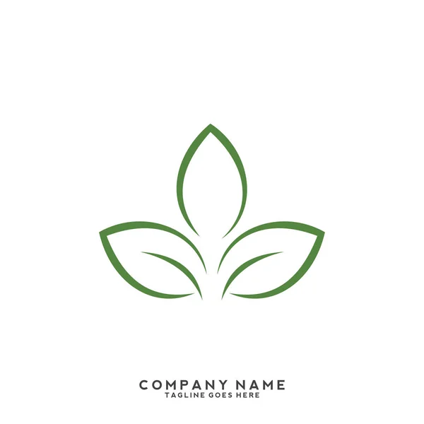 Plantilla Logotipo Hoja Verde Creativa — Archivo Imágenes Vectoriales
