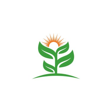 Yaratıcı yeşil yaprak logo şablonu.