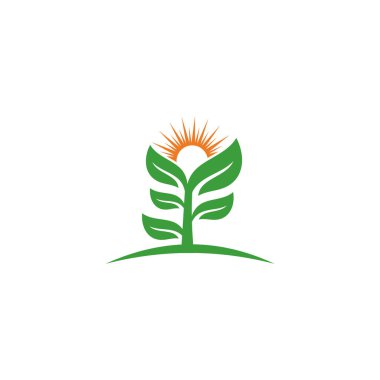 Yaratıcı yeşil yaprak logo şablonu.
