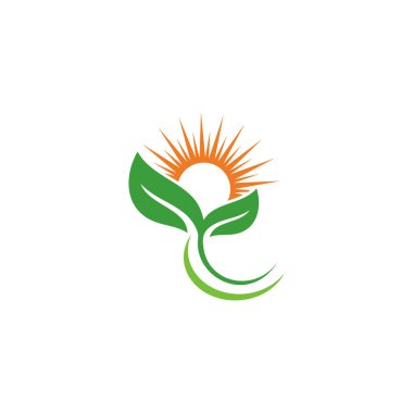 Yaratıcı yeşil yaprak logo şablonu.