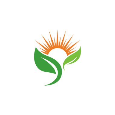 Yaratıcı yeşil yaprak logo şablonu.