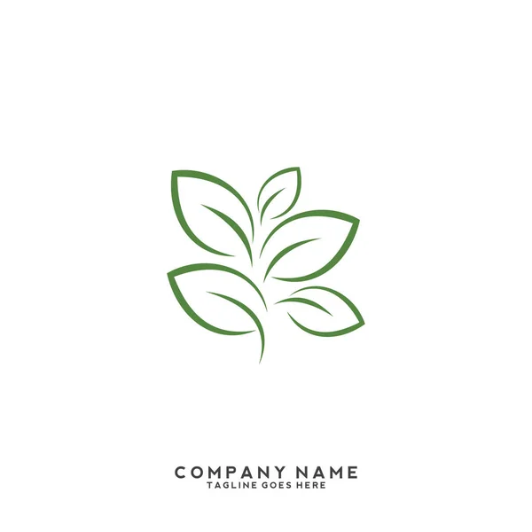 Creatief Groen Blad Logo Template — Stockvector