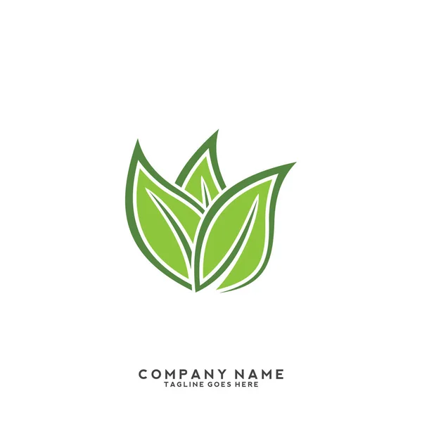 Kreativa Gröna Blad Logotyp Mall — Stock vektor