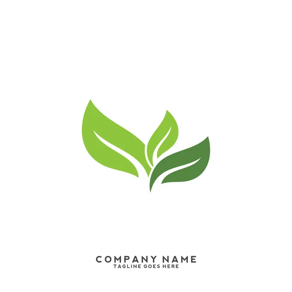 Modello Logo Foglia Verde Creativo — Vettoriale Stock