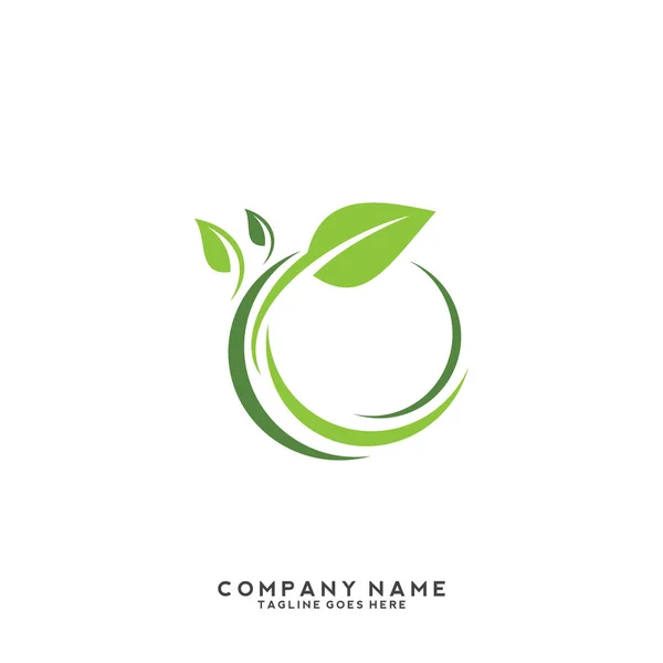 Kreative Grüne Blatt Logo Vorlage — Stockvektor