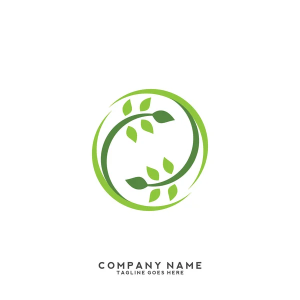 Plantilla Logotipo Hoja Verde Creativa — Archivo Imágenes Vectoriales