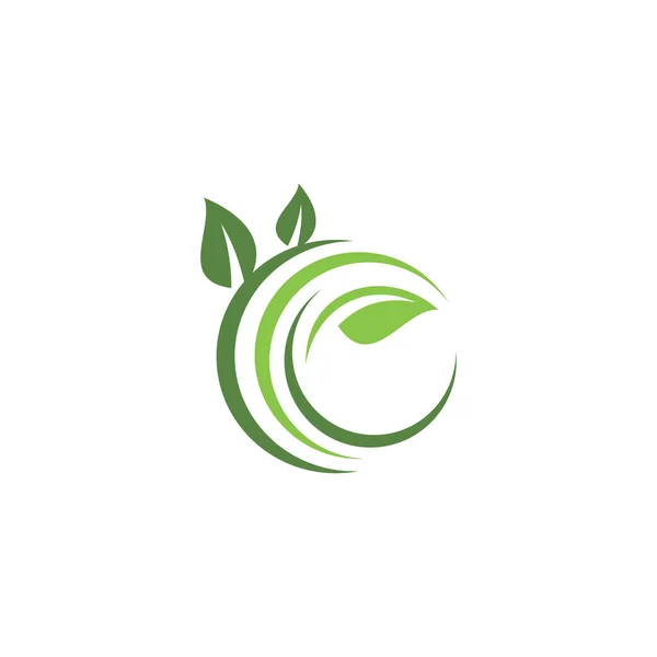 Шаблон Логотипу Креативного Зеленого Листа — стоковий вектор