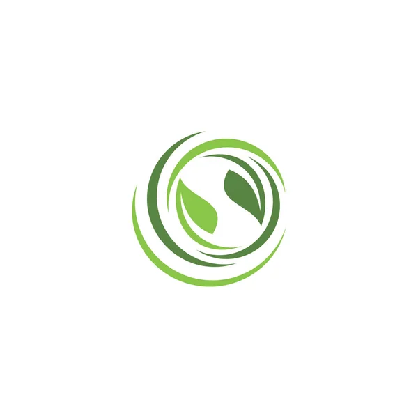 Plantilla Logotipo Hoja Verde Creativa — Vector de stock