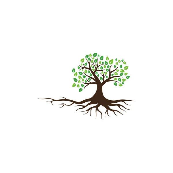 Ikona Wektora Drzewa Elementy Projektu Logo — Wektor stockowy