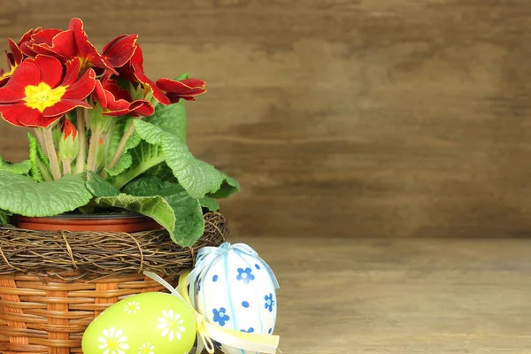 Primrose with easter eggs — Stock Photo, Image