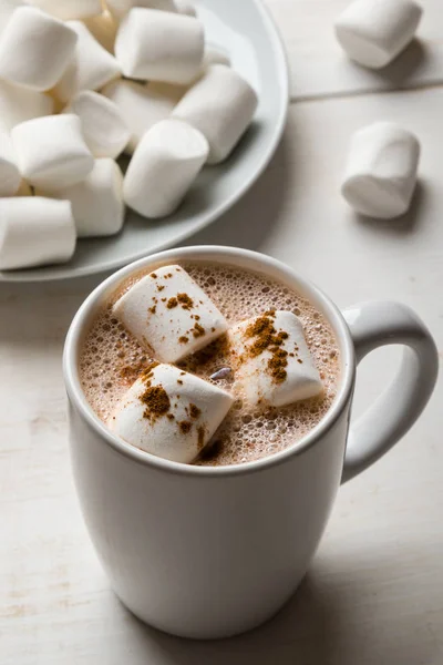 Varm kakao med marshmallow — Stockfoto
