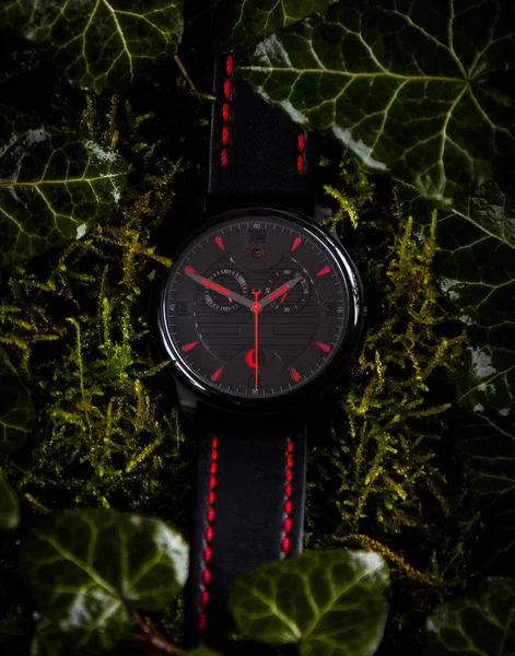 Zegarek na rękę na ustawienie zielonych liści — Zdjęcie stockowe