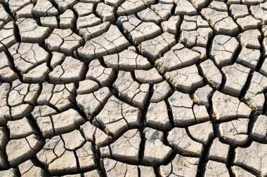 kuraklık kırık dünya