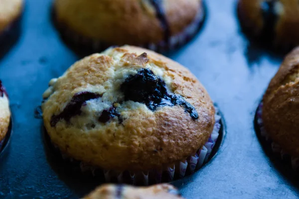 Muffin aux bleuets frais — Photo