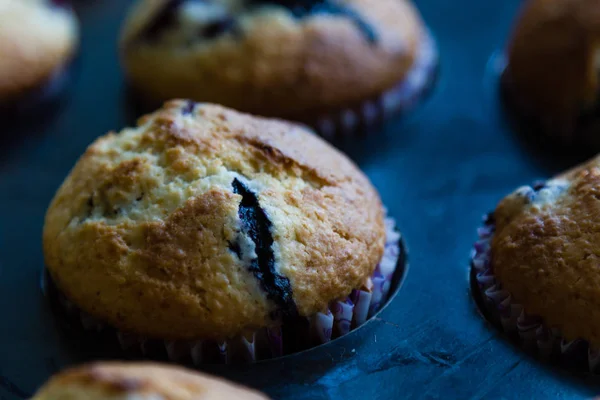 Muffin aux bleuets frais — Photo