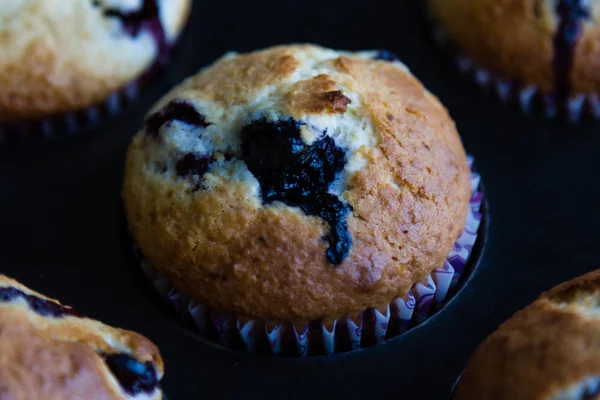 Muffin aux bleuets frais — Photo