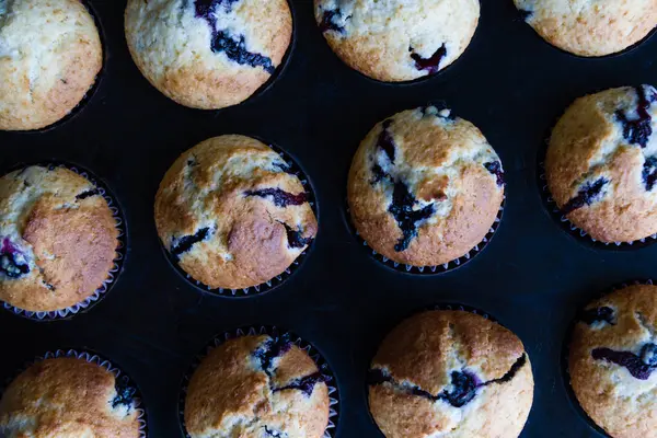 Muffin aux bleuets frais — Photo