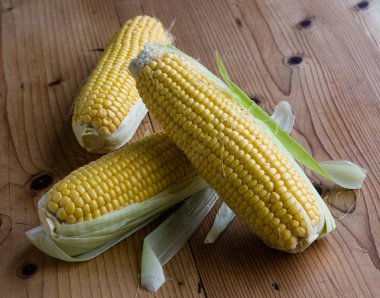 Olgun tatlı mısır 