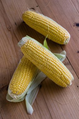 Olgun tatlı mısır 
