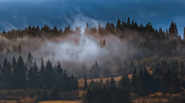Paesaggio autunnale con nebbia — Foto Stock