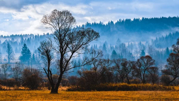 Paesaggio autunnale con nebbia — Foto Stock