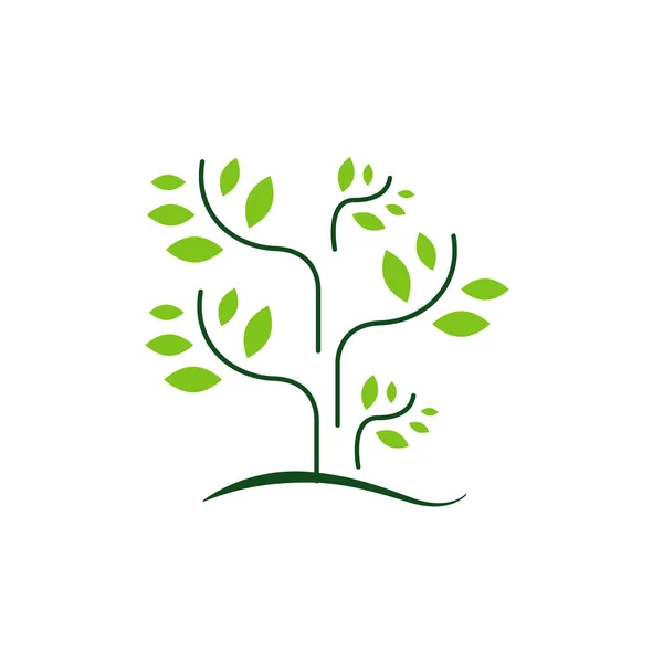 Ağaç logosu vektör tasarım grafiklerinin yeşil renk silueti — Stok Vektör