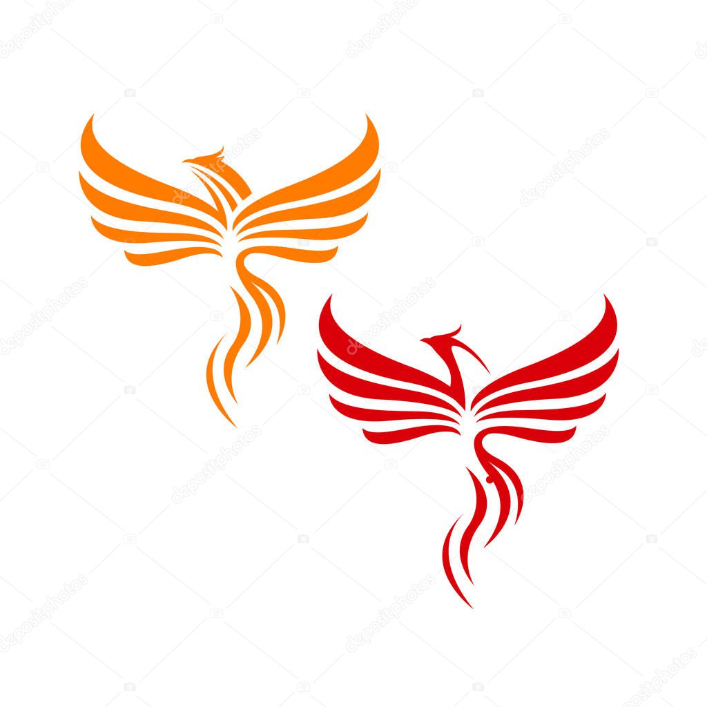 fire bird phoenix logo design vector illustrations graphic