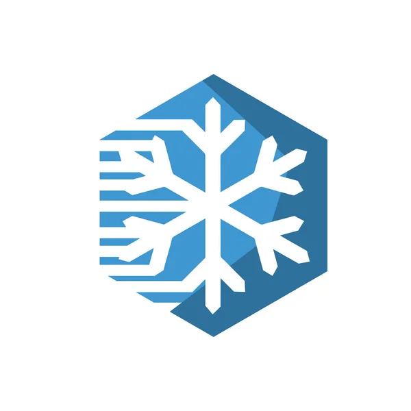 Illustration de conception de logo de flocon de neige audacieux créatif personnalisé — Image vectorielle