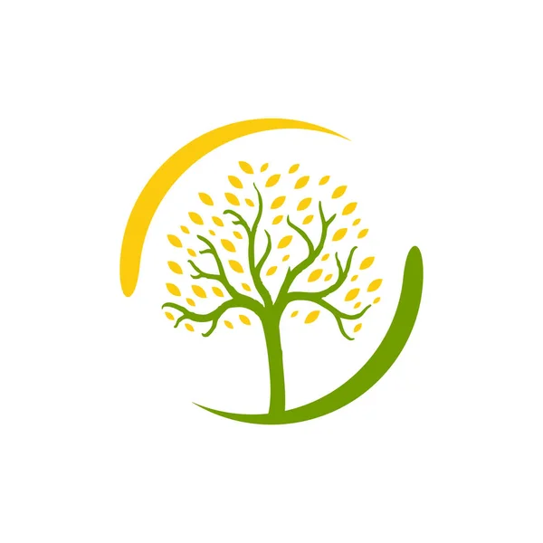 Yeşil Yaprak Ağaç Logosu Vektör Tasarımı Doğa Grafik Elementi — Stok Vektör