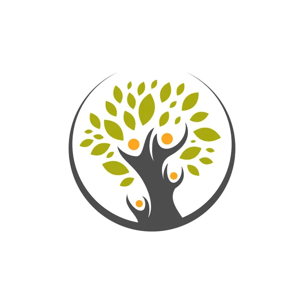 Nsan Ağacı Aile Logosu Vektör Çizimlerinin Yaratıcı Konsepti — Stok Vektör