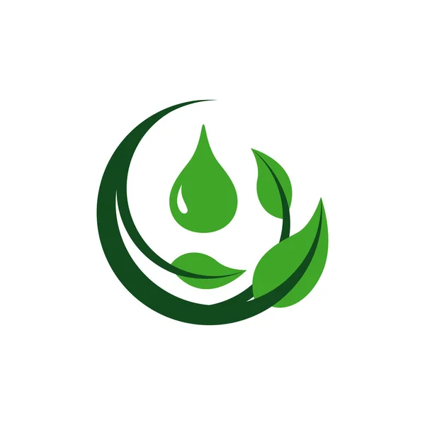 Conception Naturelle Logo Huile Herbe Avec Illustration Vectorielle Symbole Goutte — Image vectorielle
