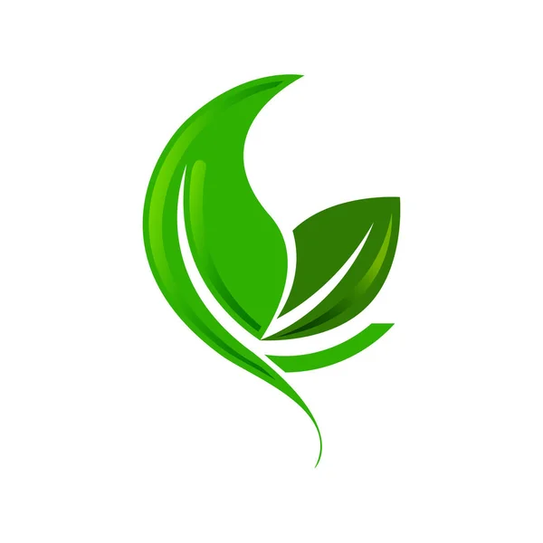 Nádherná Příroda Jednoduché Moderní Rostoucí Zelené Listy Logo Design Vektorové — Stockový vektor