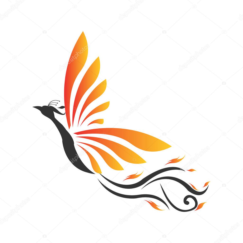 Flying high fire bird phoenix logo design vector illustrations graphic