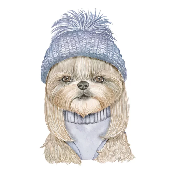 Adorável bonito cão com tricotado chapéu aquarela ilustração — Vetor de Stock