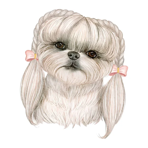 Adorable cute dog with hair on braids ribbon watercolor illustration — 스톡 벡터