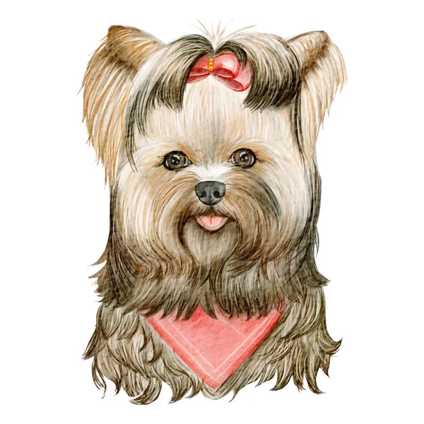 Cachorro yorkshire terier cão bonito com fita aquarela ilustração — Vetor de Stock