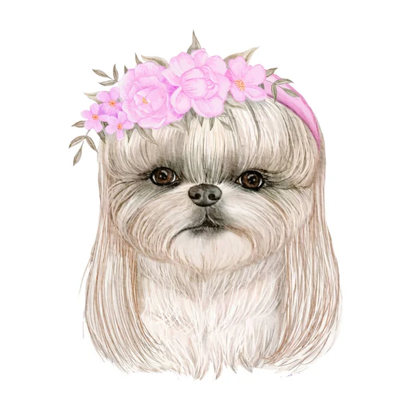 Rozkošný roztomilý pes s vlasy a květinovými korunami akvarel ilustrace — Stockový vektor